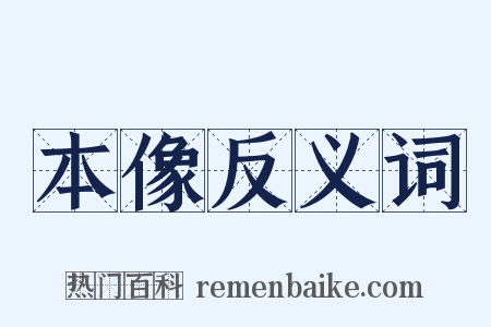 本像反义词是什么意思的图片